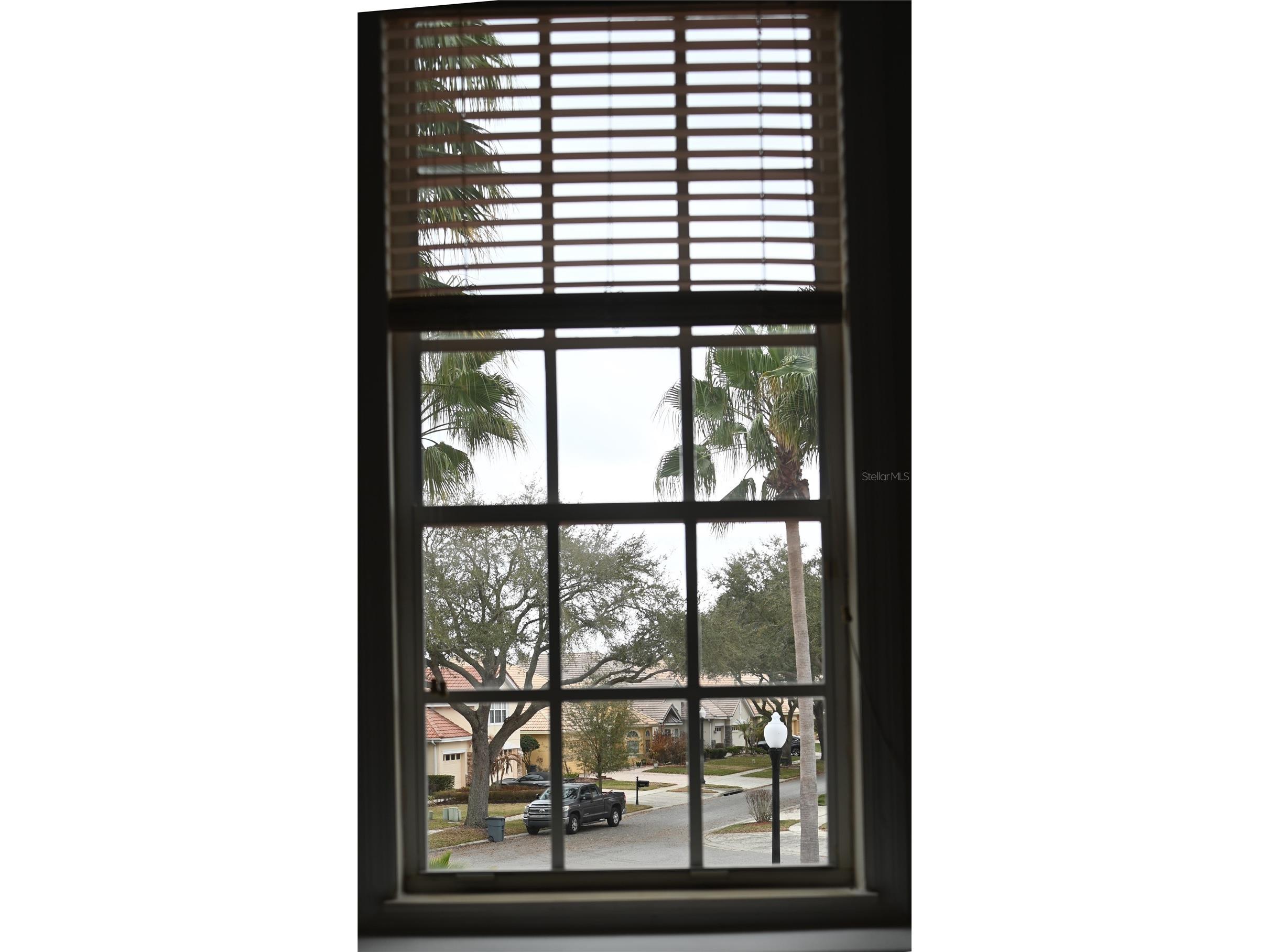 8800 Oak Landings Court Orlando FL 32836 S5146308 image24