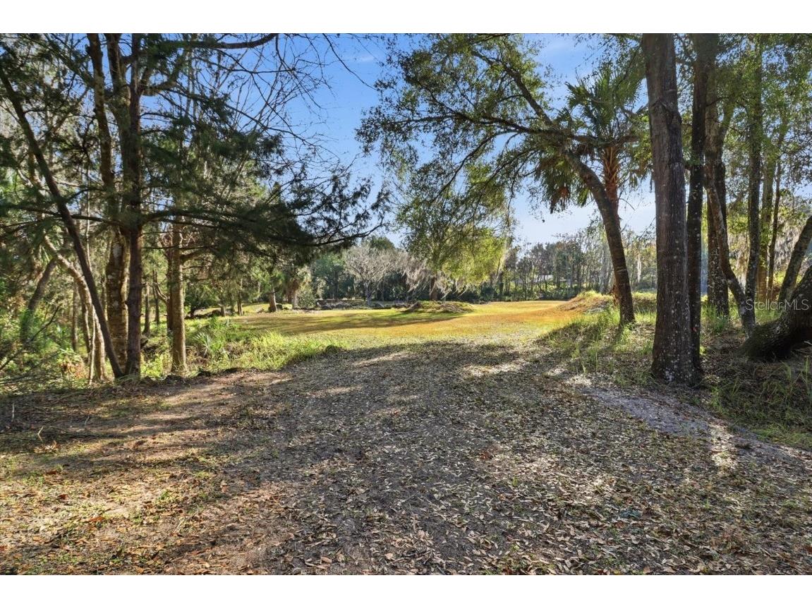 8800 S Steed Terrace Floral City FL 34436 OM715131 image12