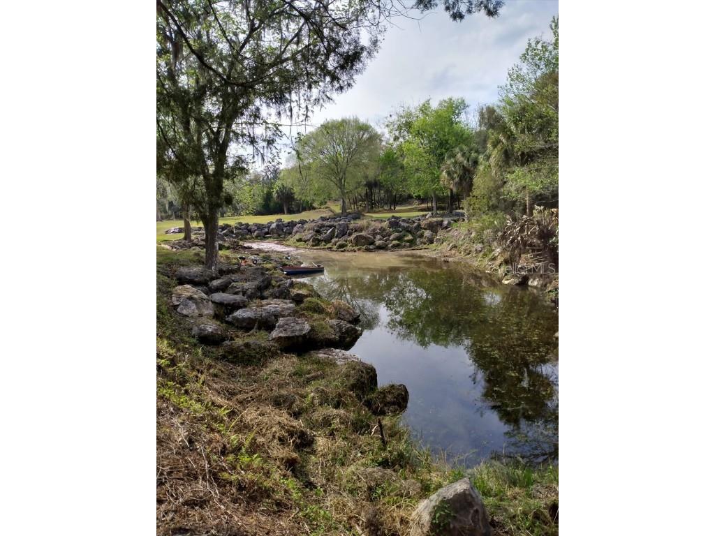 8800 S Steed Terrace Floral City FL 34436 OM715131 image16