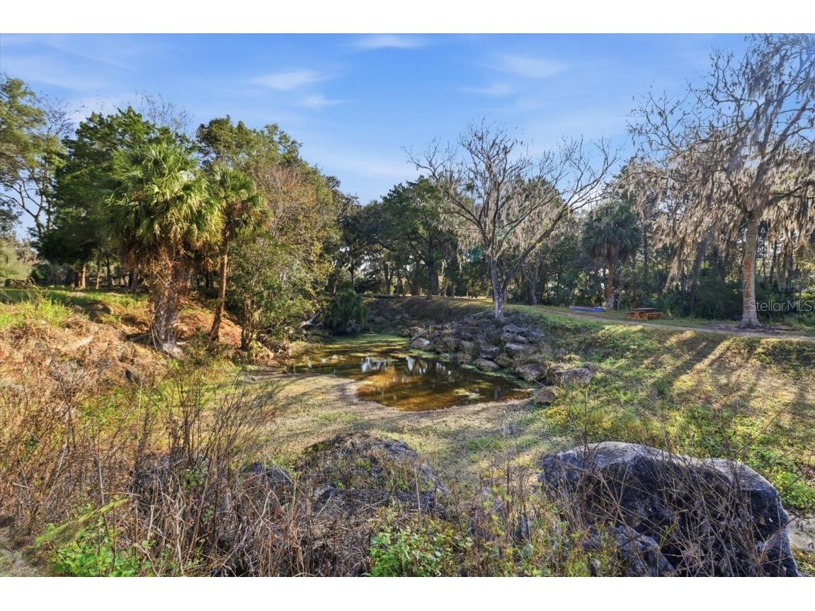 8800 S Steed Terrace Floral City FL 34436 OM715131 image17