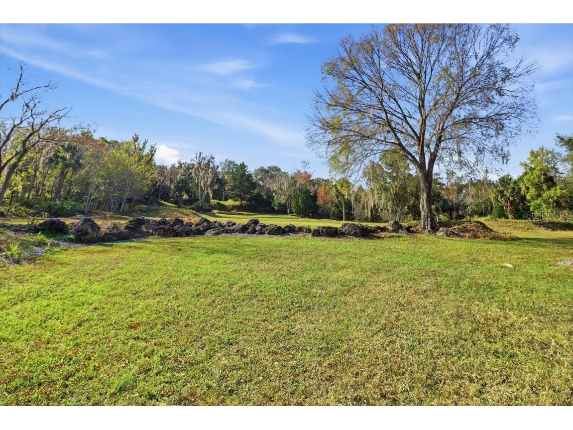 8800 S Steed Terrace Floral City FL 34436 OM715131 image21