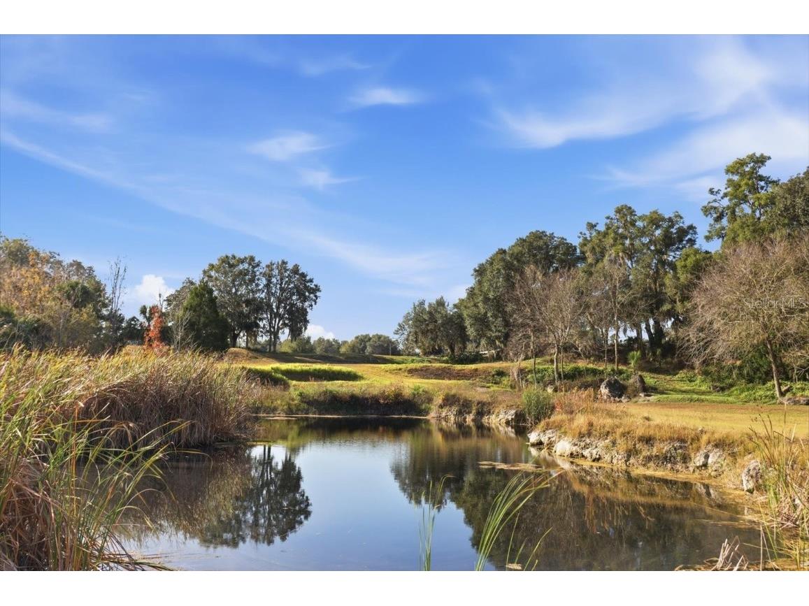 8800 S Steed Terrace Floral City FL 34436 OM715131 image25