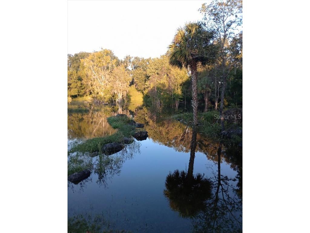 8800 S Steed Terrace Floral City FL 34436 OM715131 image26