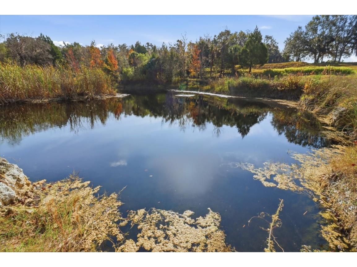 8800 S Steed Terrace Floral City FL 34436 OM715131 image27