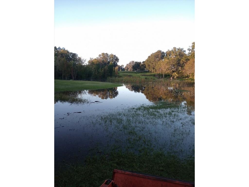 8800 S Steed Terrace Floral City FL 34436 OM715131 image28