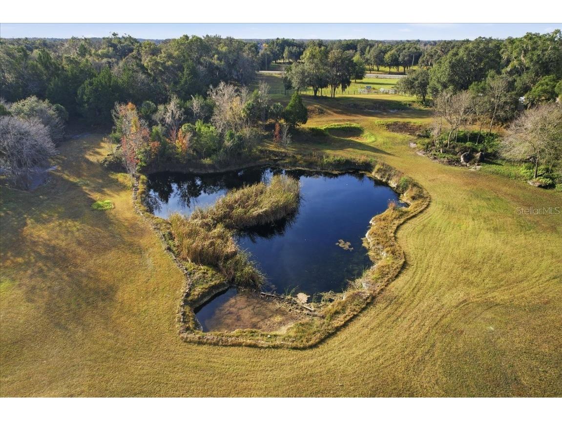 8800 S Steed Terrace Floral City FL 34436 OM715131 image30