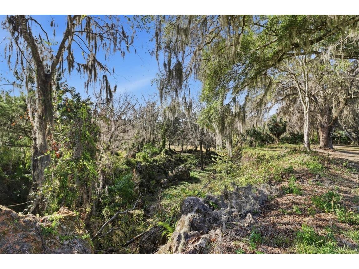 8800 S Steed Terrace Floral City FL 34436 OM715131 image31