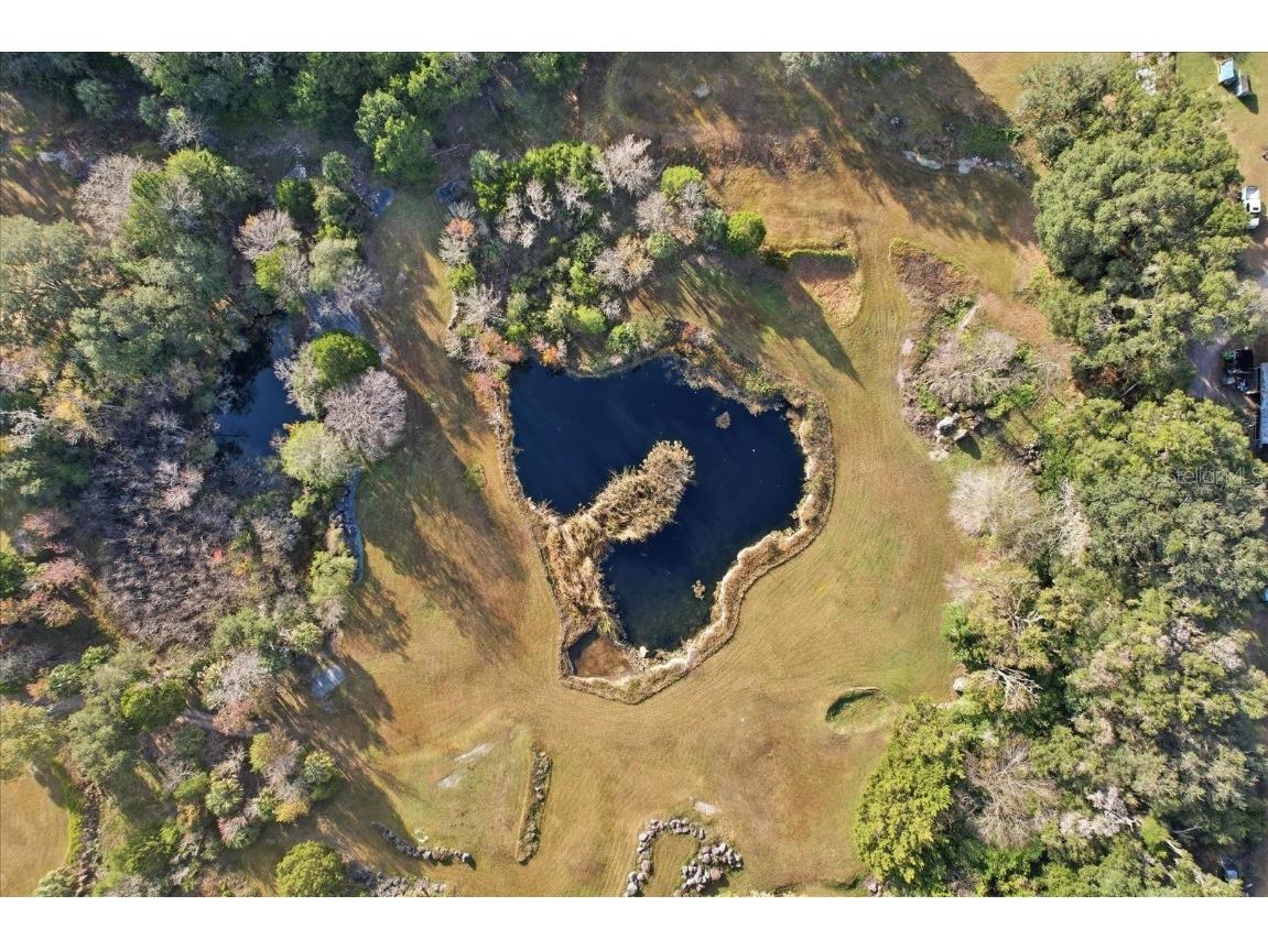 8800 S Steed Terrace Floral City FL 34436 OM715131 image33