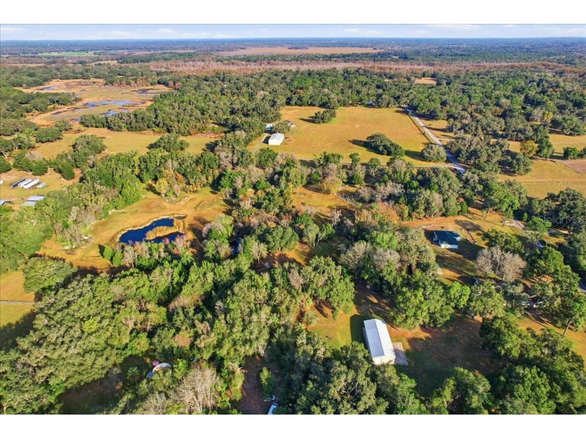 8800 S Steed Terrace Floral City FL 34436 OM715131 image38