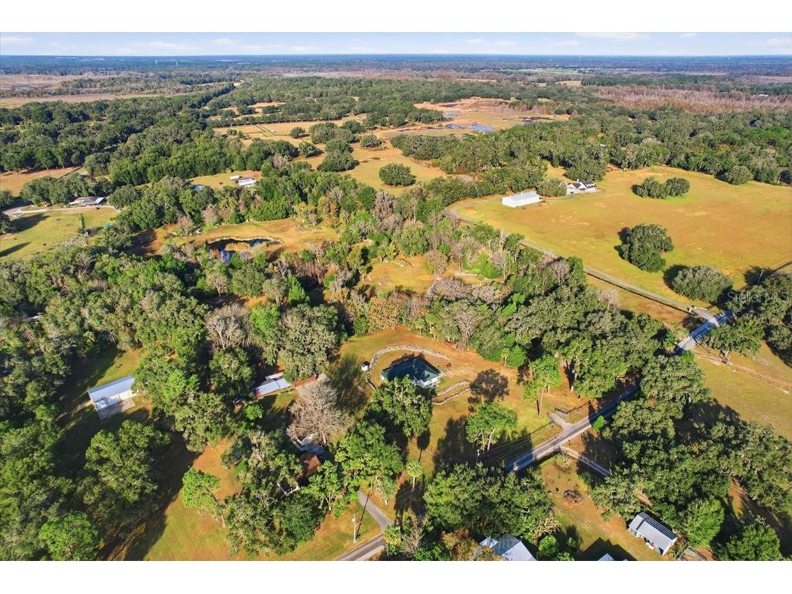 8800 S Steed Terrace Floral City FL 34436 OM715131 image40