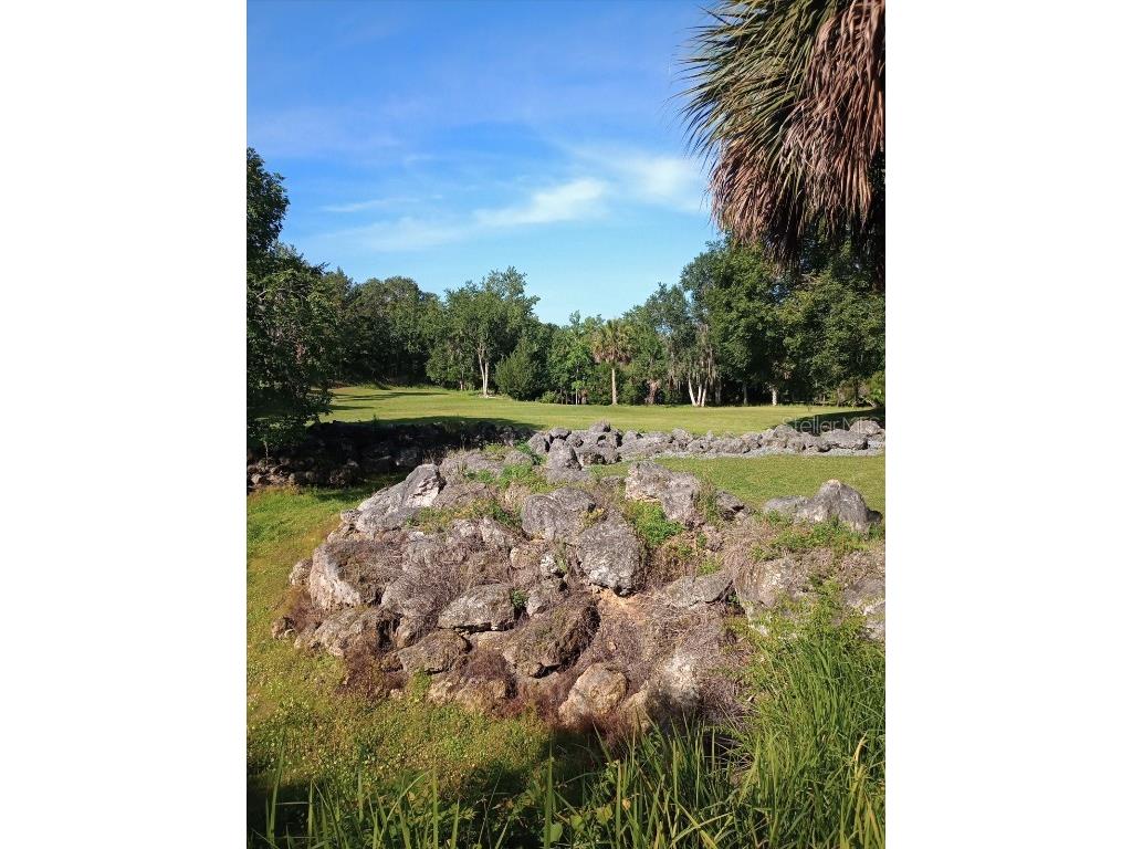 8800 S Steed Terrace Floral City FL 34436 OM715131 image42