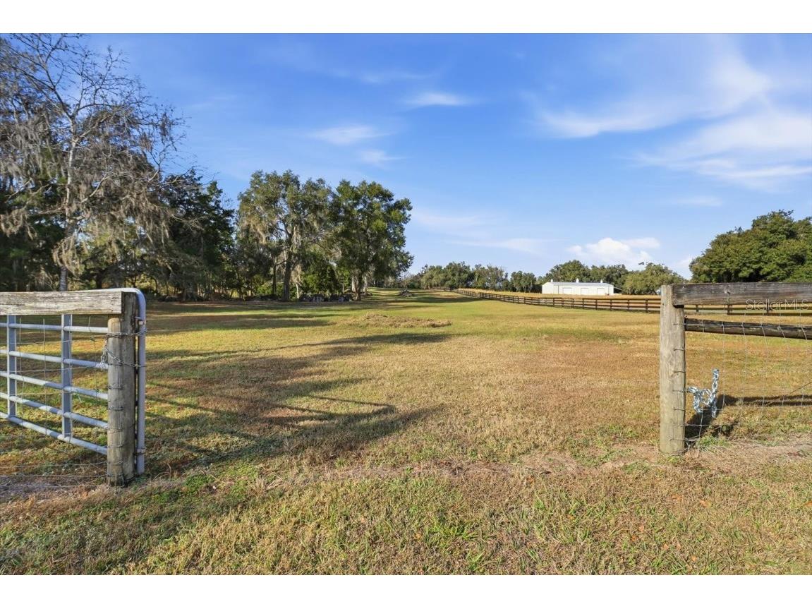 8800 S Steed Terrace Floral City FL 34436 OM715131 image7