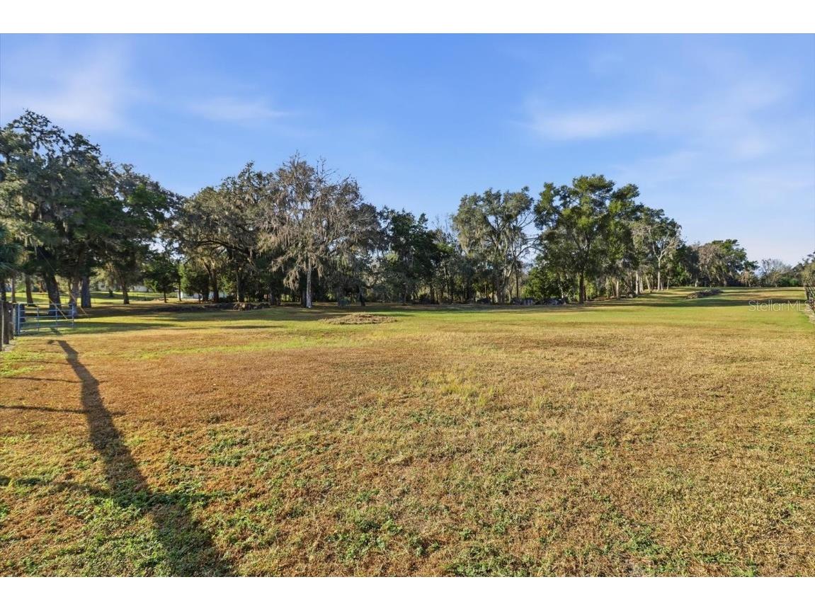 8800 S Steed Terrace Floral City FL 34436 OM715131 image8