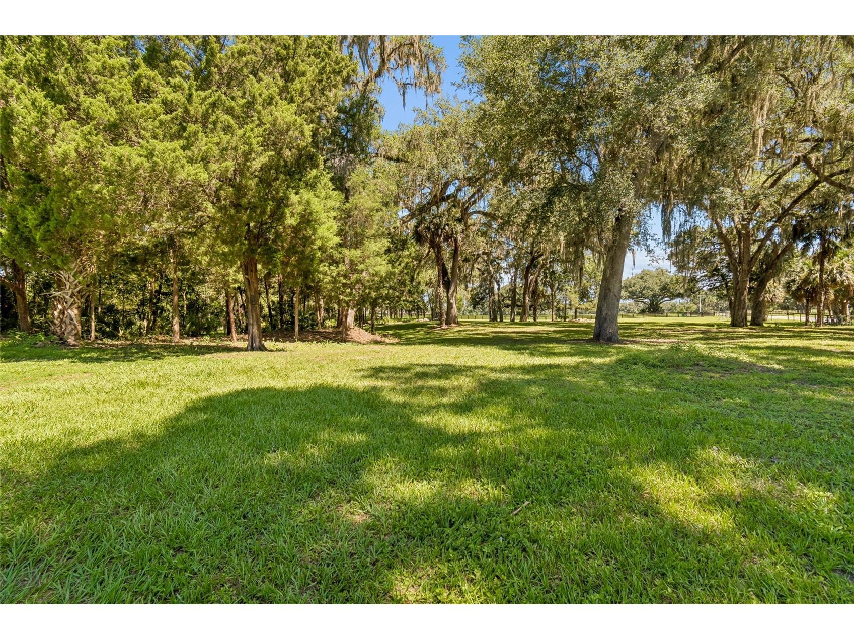 8800 S Steed Terrace Floral City FL 34436 TB8520367 image11