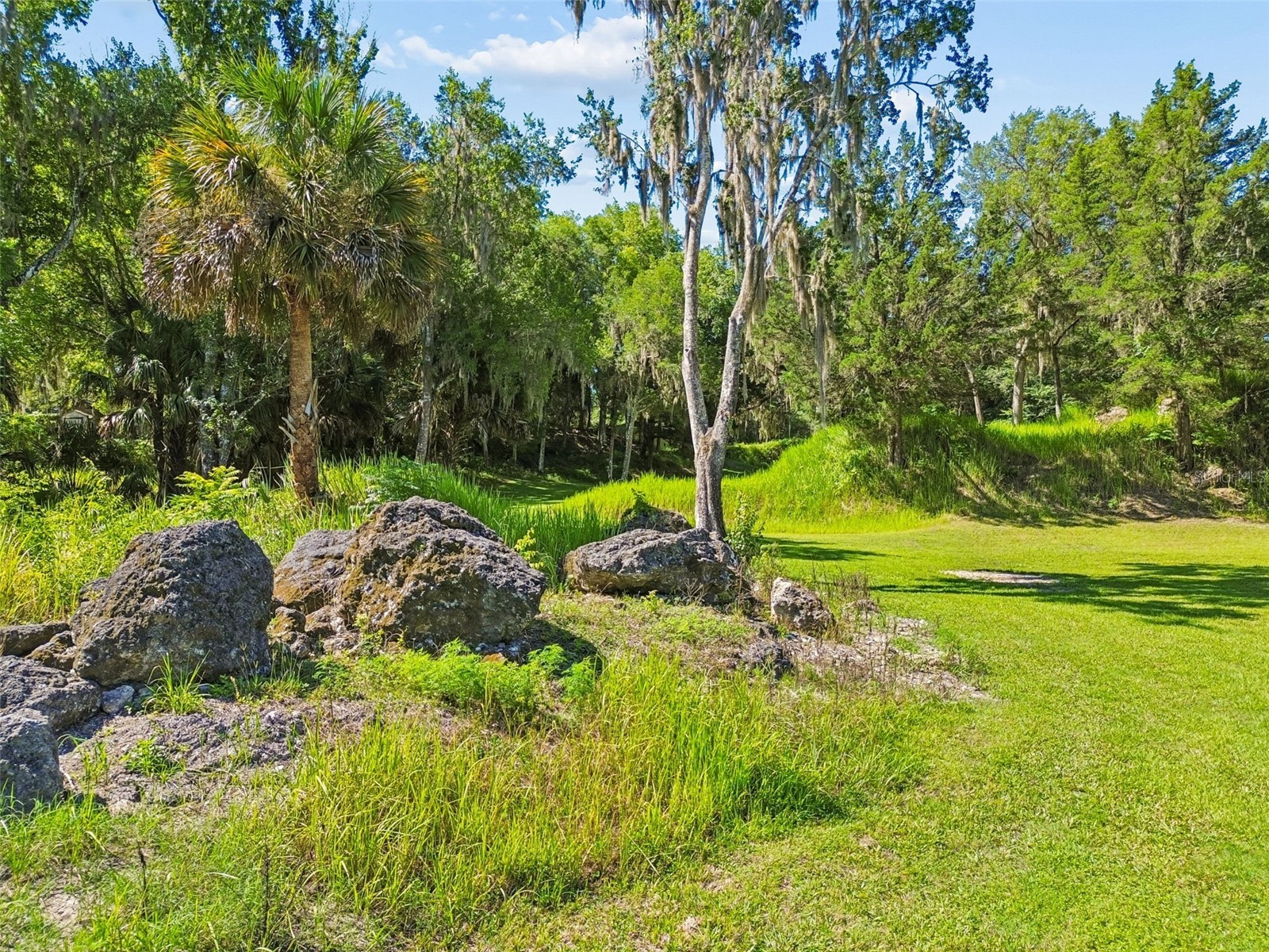 8800 S Steed Terrace Floral City FL 34436 TB8520367 image14
