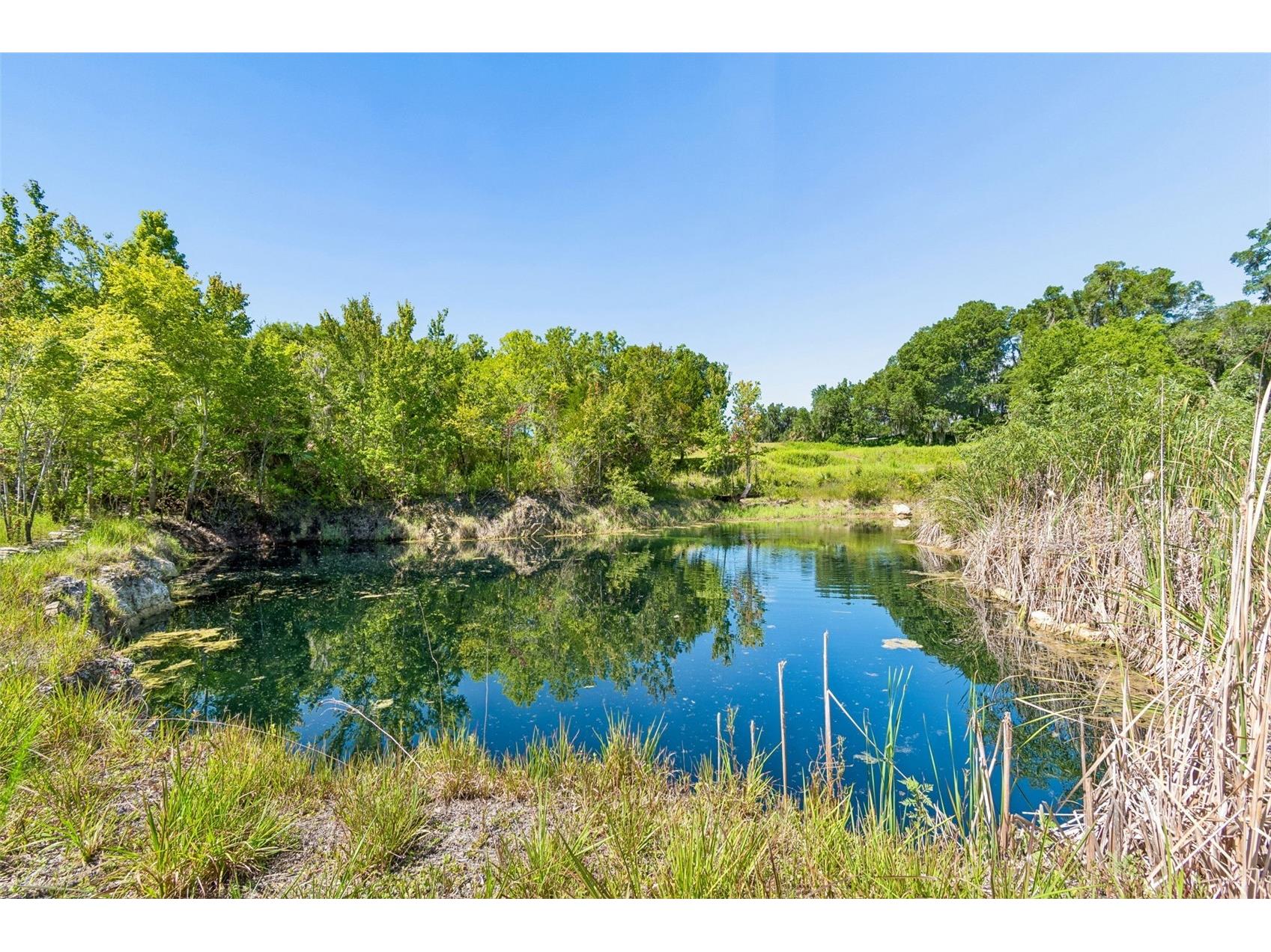 8800 S Steed Terrace Floral City FL 34436 TB8520367 image15