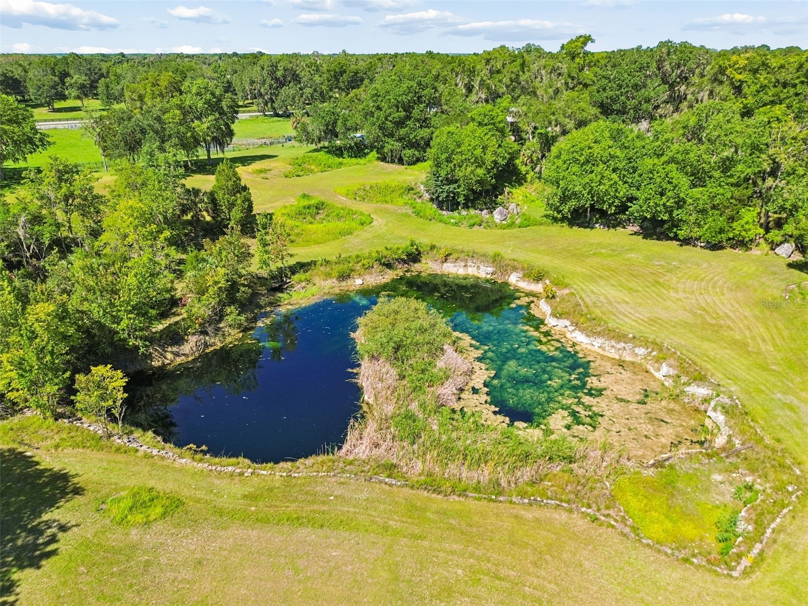 8800 S Steed Terrace Floral City FL 34436 TB8520367 image4