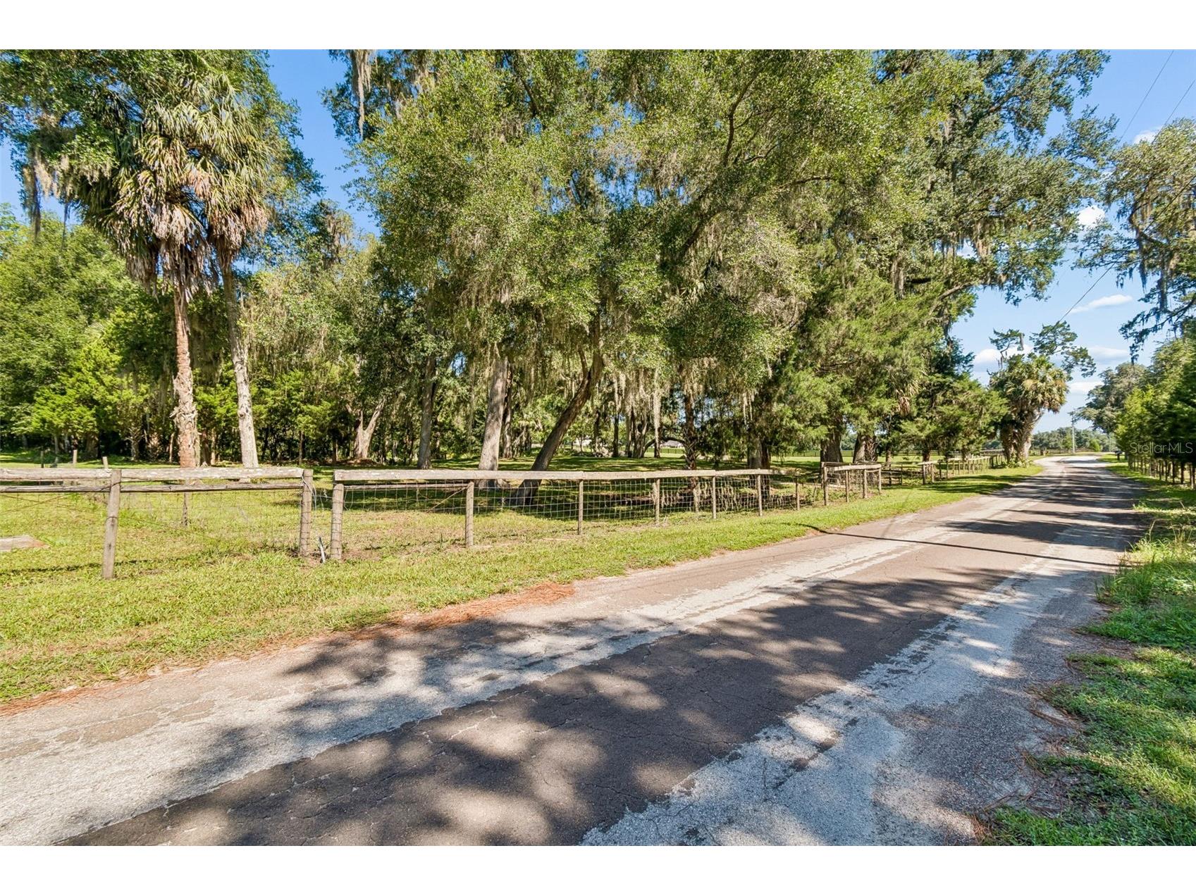 8800 S Steed Terrace Floral City FL 34436 TB8520367 image5