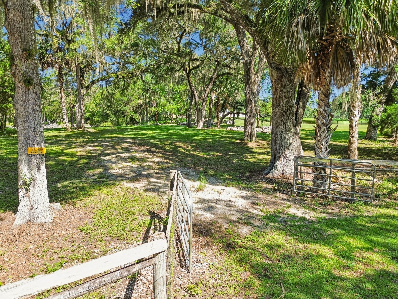 8800 S Steed Terrace Floral City FL 34436 TB8520367 image6
