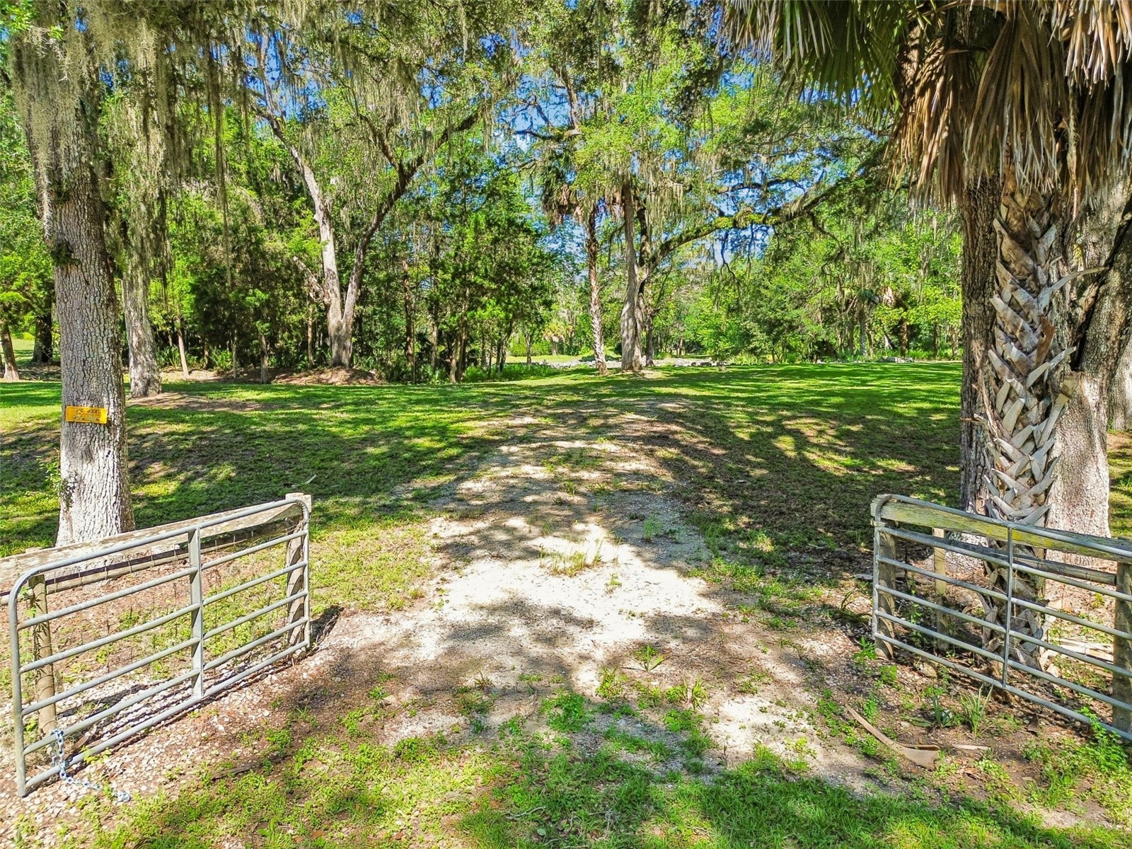 8800 S Steed Terrace Floral City FL 34436 TB8520367 image7