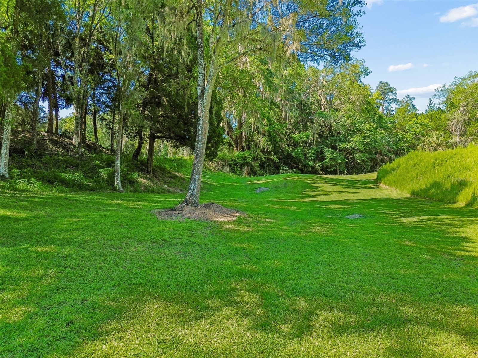 8800 S Steed Terrace Floral City FL 34436 TB8520367 image9