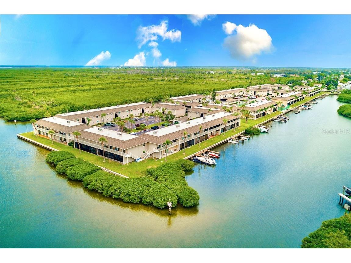 8801 Bay Pointe Drive #102 Tampa FL 33615 - TAMPA BAY TB8457024 image35