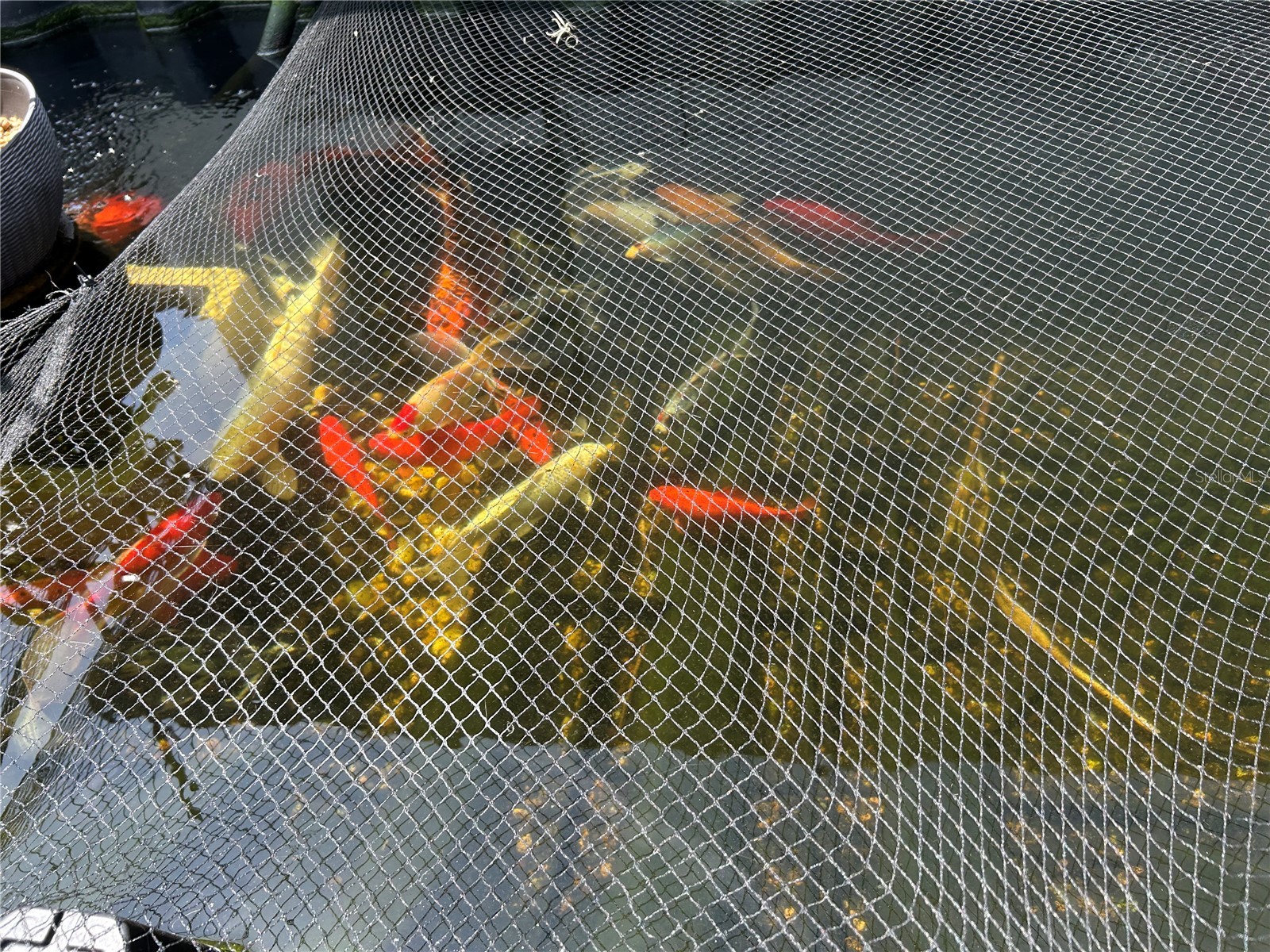 8801 E Cresco Lane Inverness FL 34450 OM722946 image41