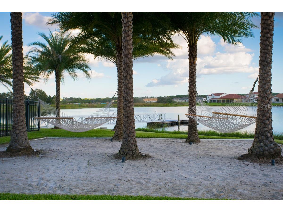8801 Fountain Palm Alley Winter Garden FL 34787 O6406952 image65