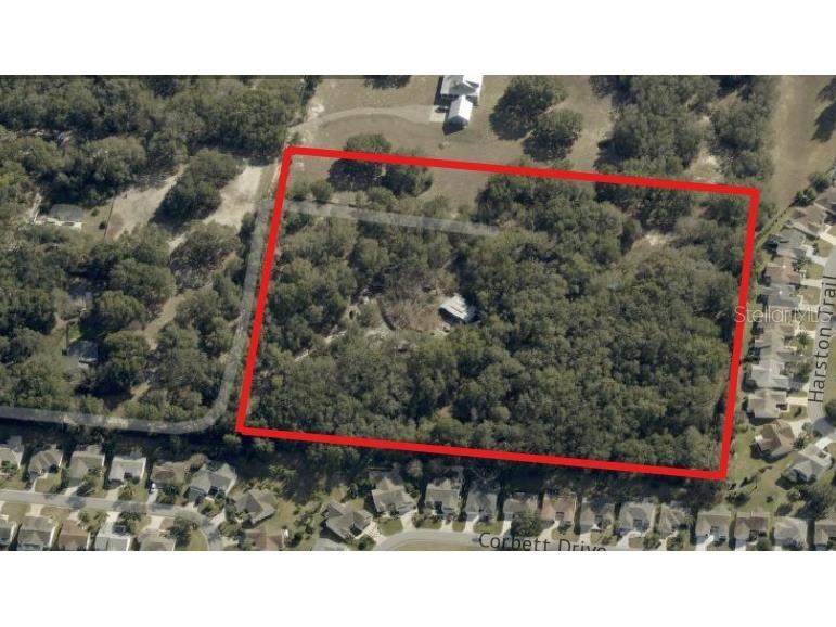 8801 NE 90th Trail Fruitland Park FL 34731 O6419652 image4