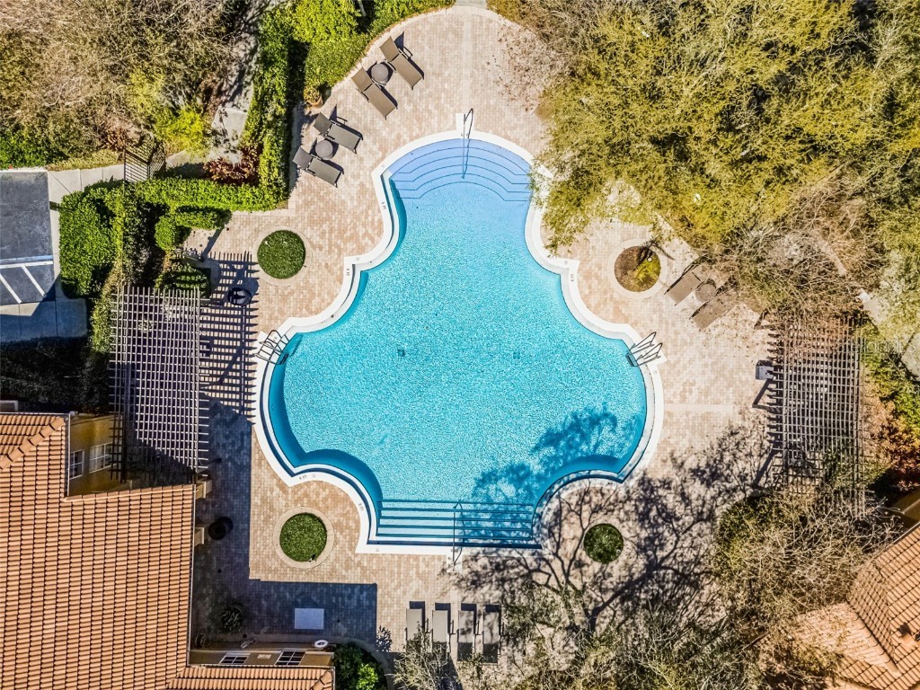 8801 Villa View Circle #1 Orlando FL 32821 O6357851 image41