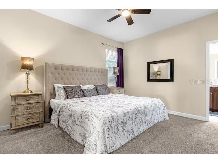 8802 Bamboo Palm Court Kissimmee FL 34747 O6372701 image19