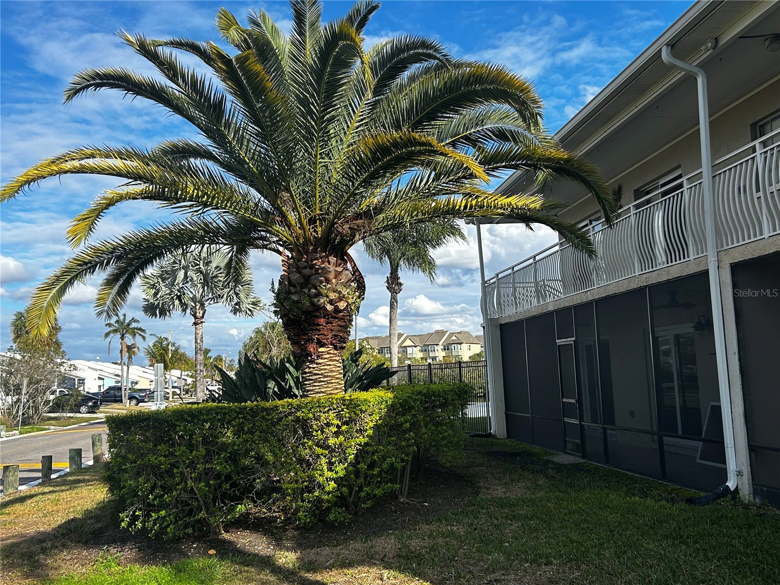 8802 Bay Pointe Drive #102 Tampa FL 33615 - TAMPA BAY O6388747 image3