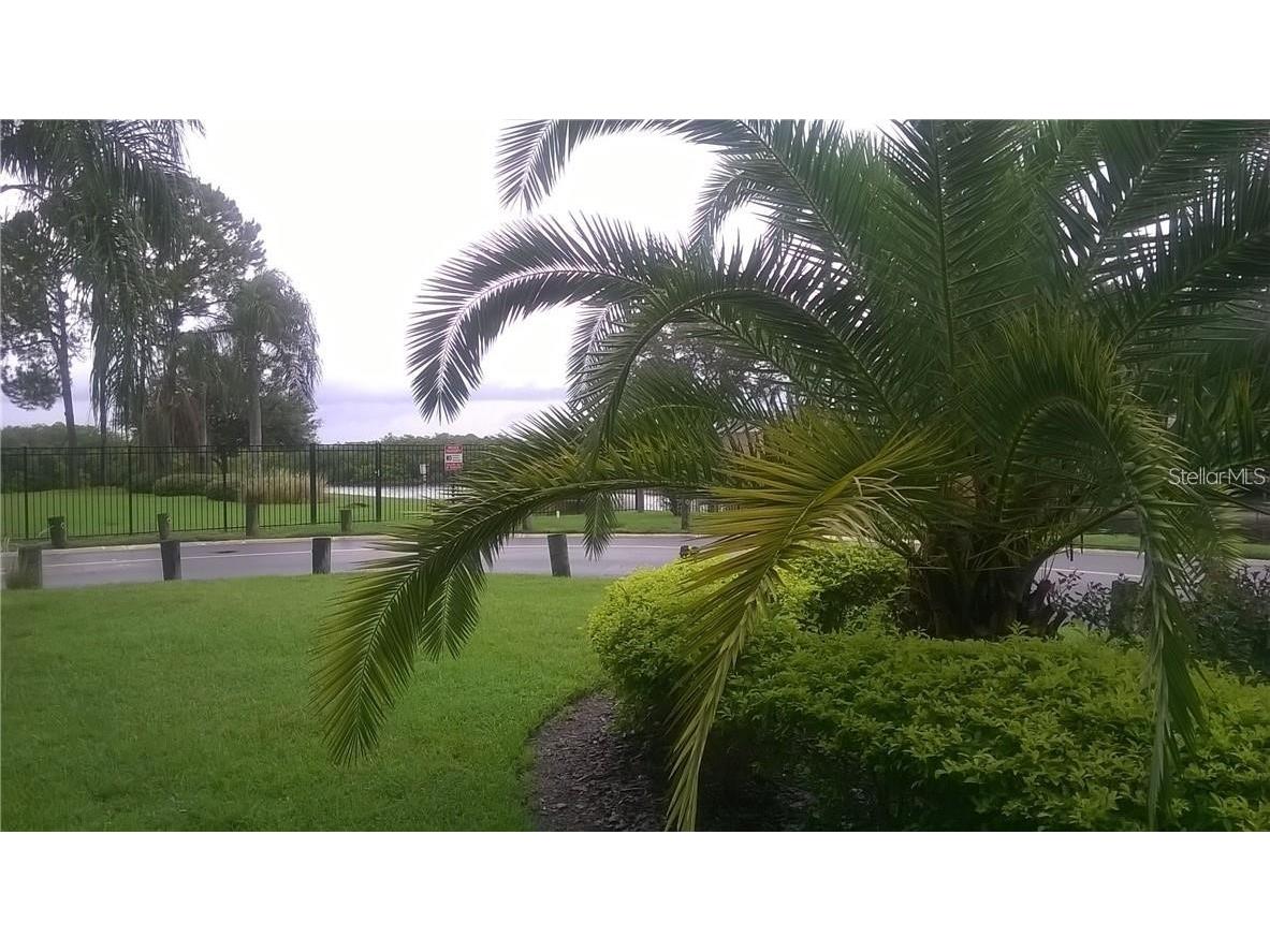 8802 Bay Pointe Drive #102 Tampa FL 33615 - TAMPA BAY O6388747 image34