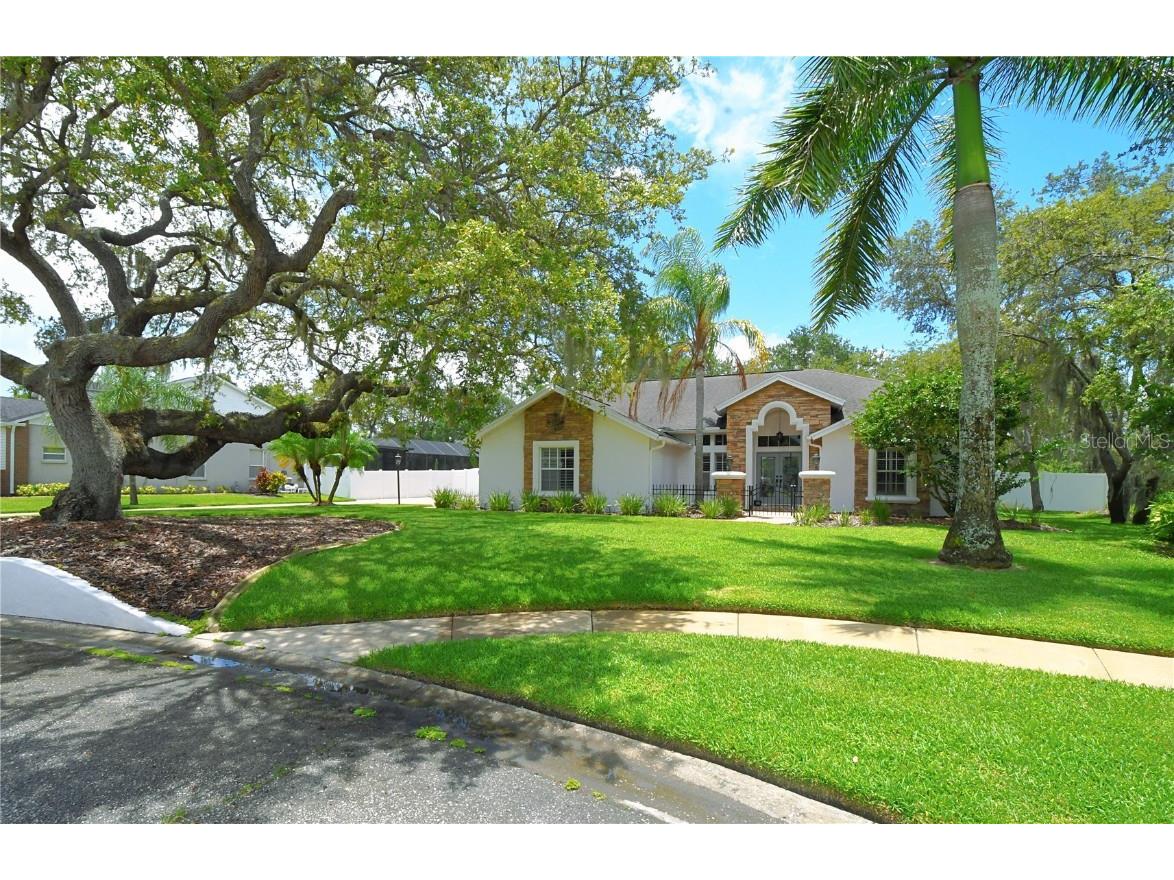 8803 Crosswood Court Riverview FL 33578 U8206412 image1