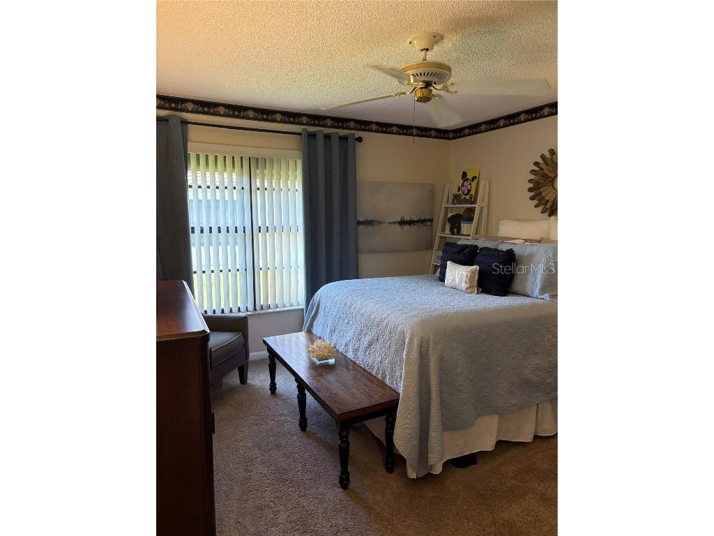 8804 40th Lane N Pinellas Park FL 33782 TB8450587 image19
