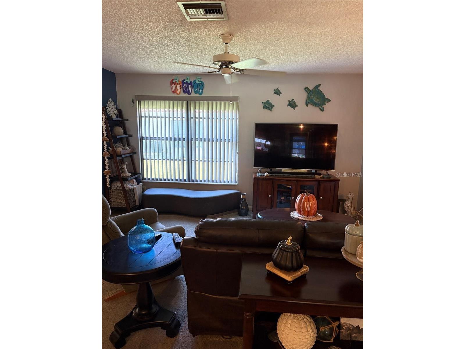 8804 40th Lane N Pinellas Park FL 33782 TB8515156 image18