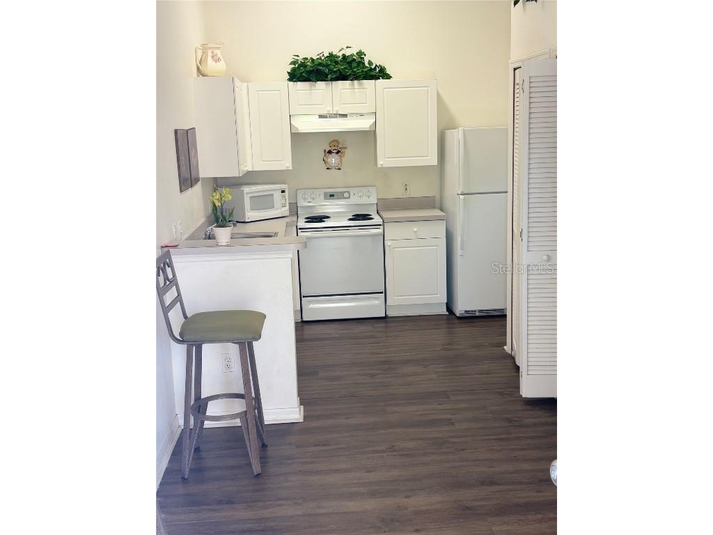 8804 Grand Palms Circle #UNIT B Kissimmee FL 34747 G5103906 image3