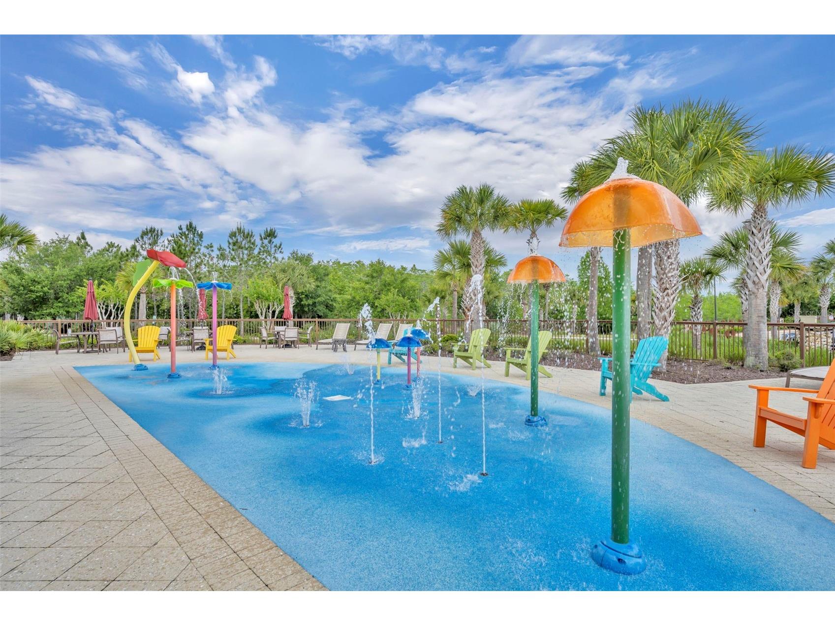 8804 Lovett Avenue Orlando FL 32832 O6403520 image33