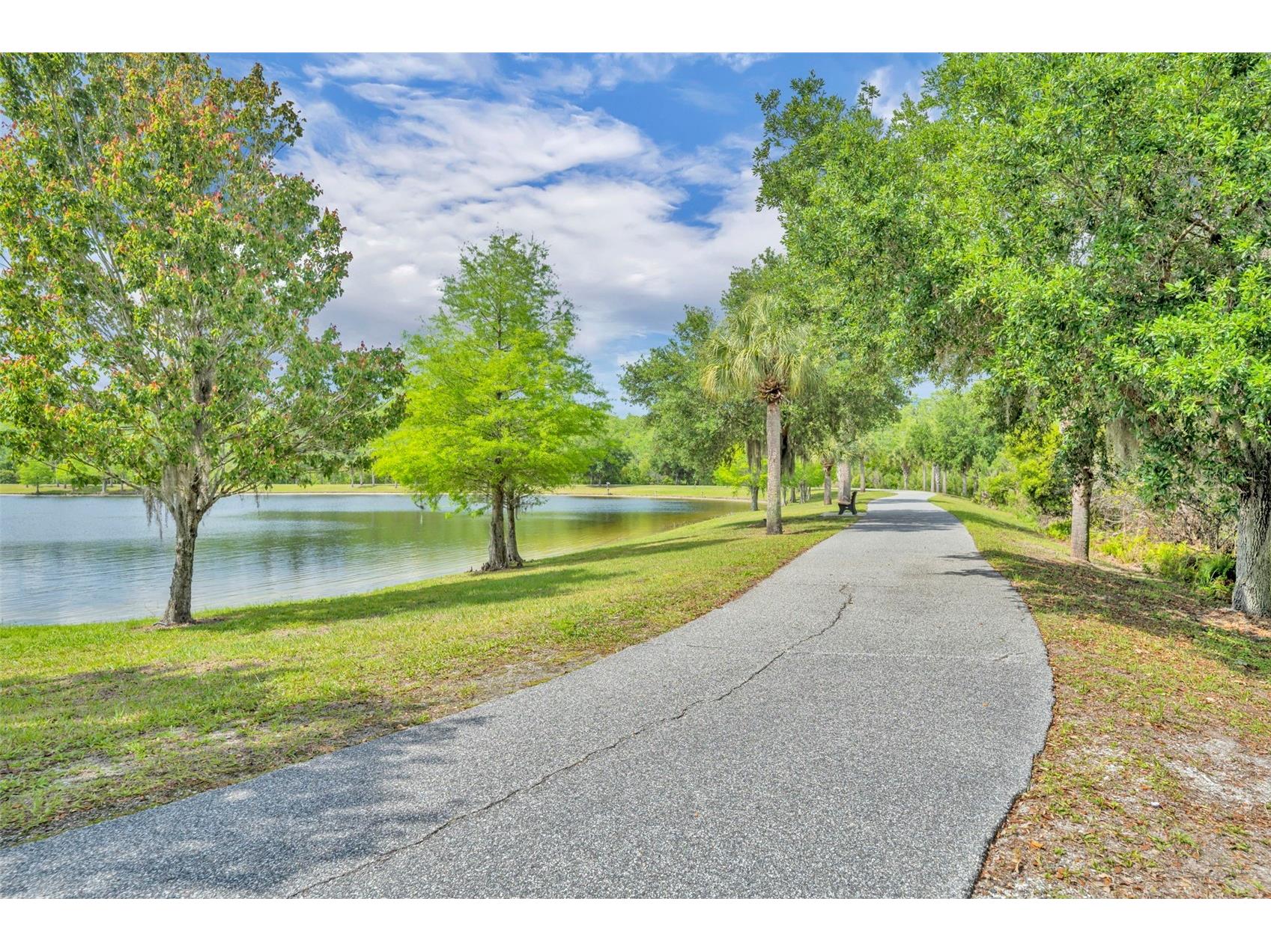 8804 Lovett Avenue Orlando FL 32832 O6403520 image36