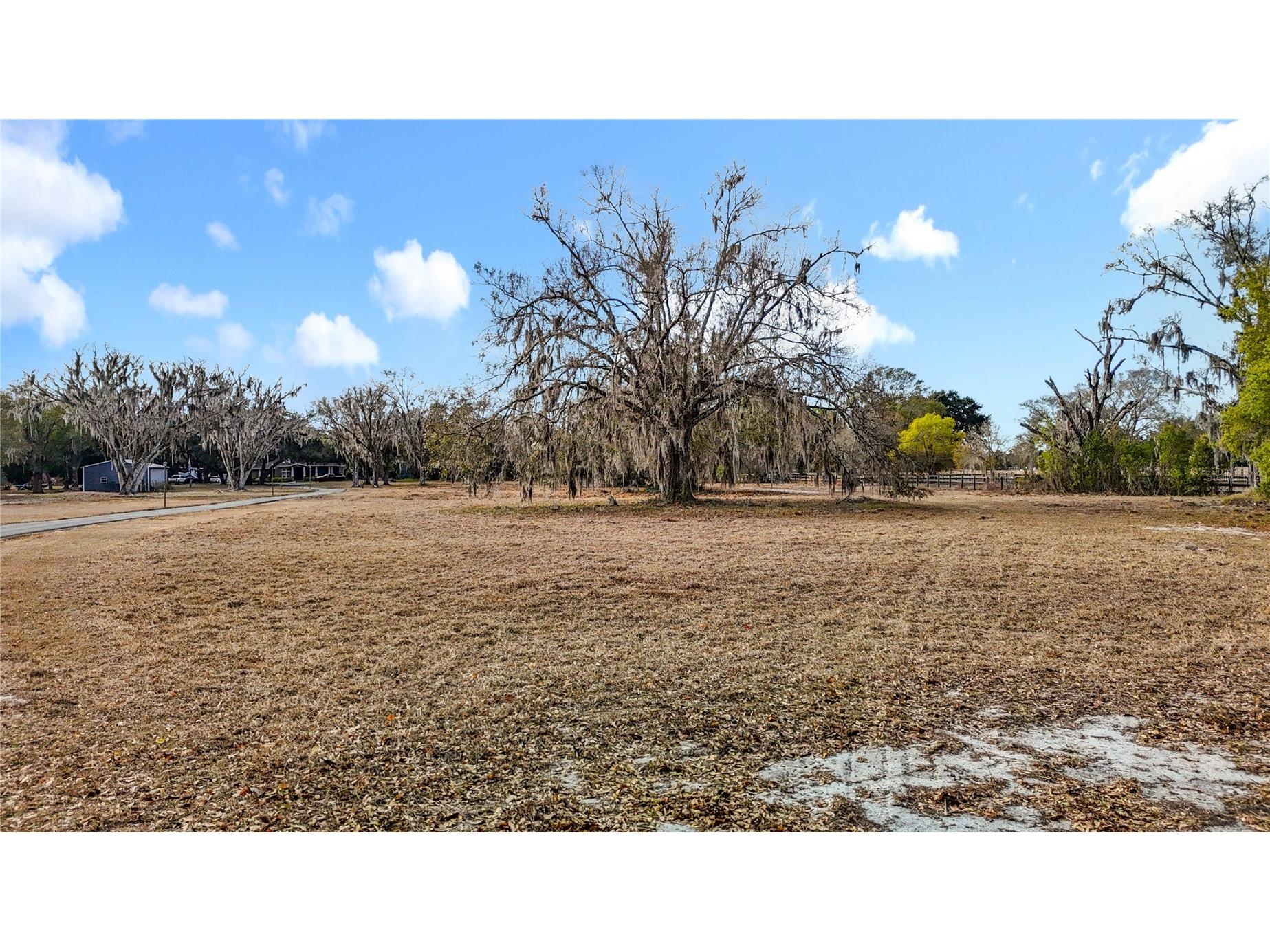 8804 Misty Morning Trail Odessa FL 33556 TB8478012 image21