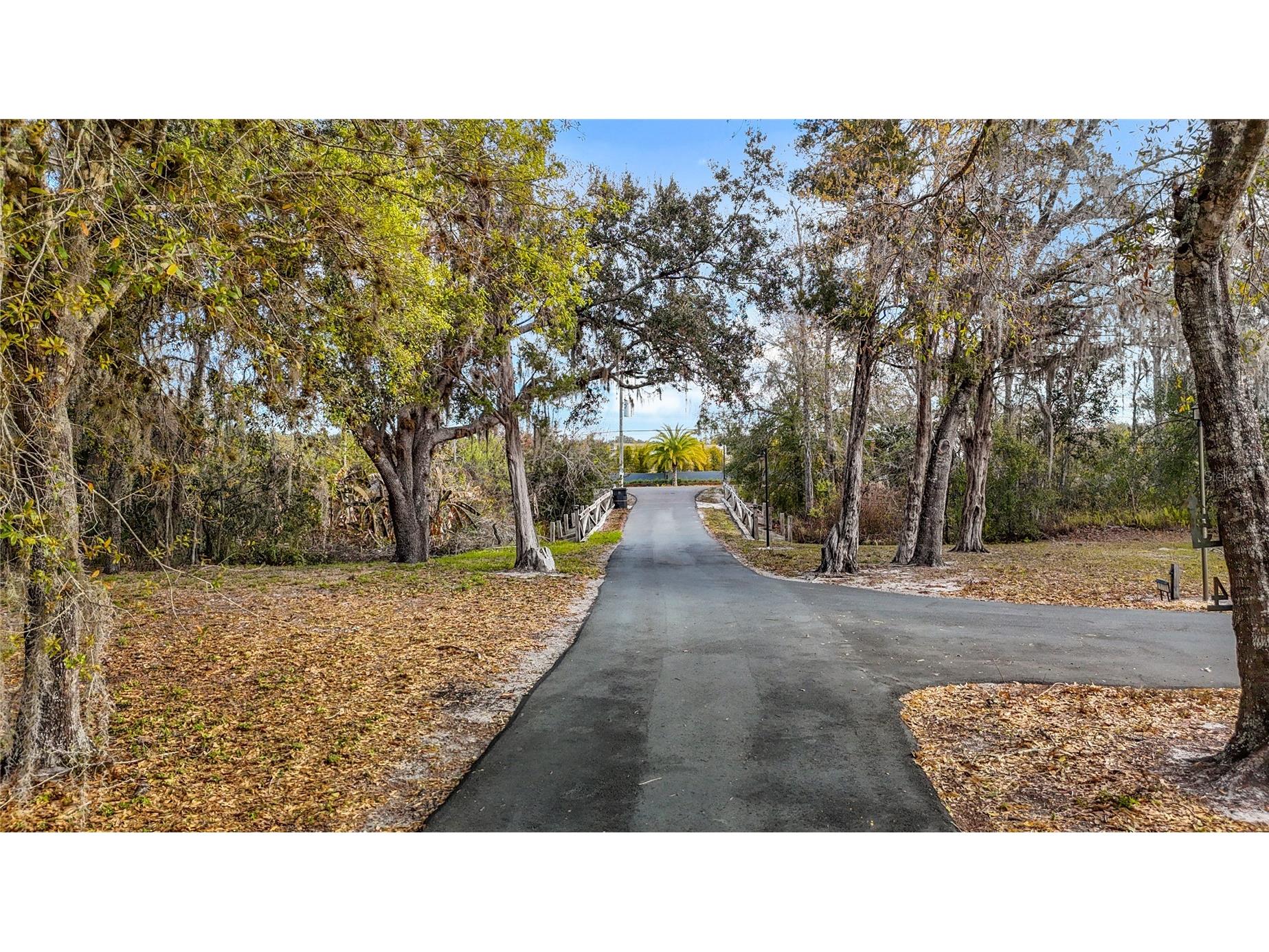 8804 Misty Morning Trail Odessa FL 33556 TB8478012 image22