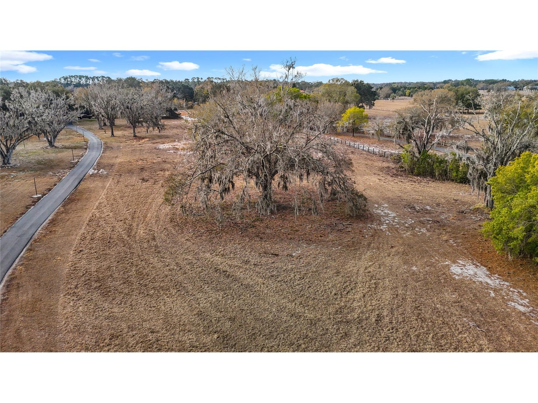 8804 Misty Morning Trail Odessa FL 33556 TB8478012 image23