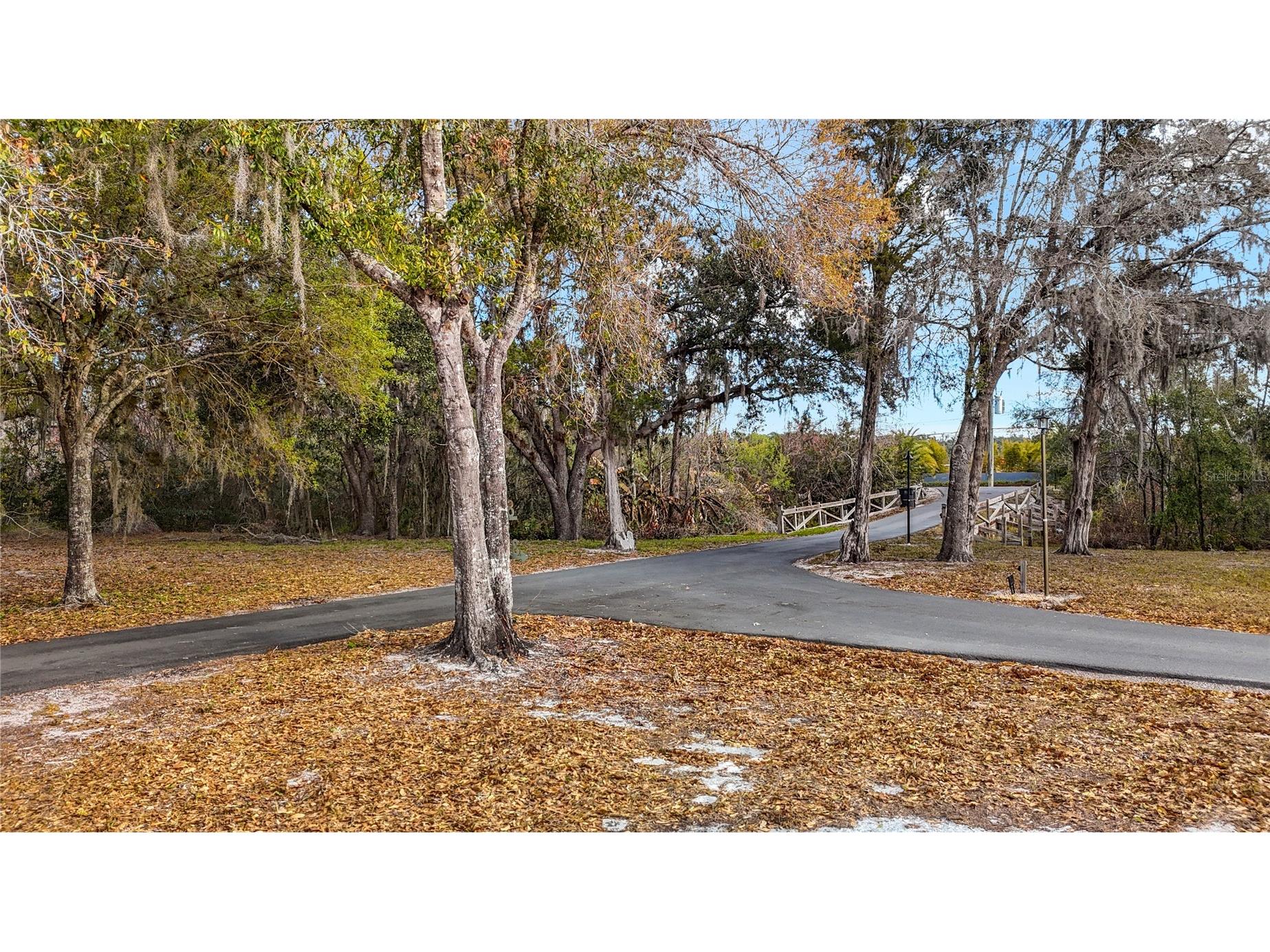 8804 Misty Morning Trail Odessa FL 33556 TB8478012 image25