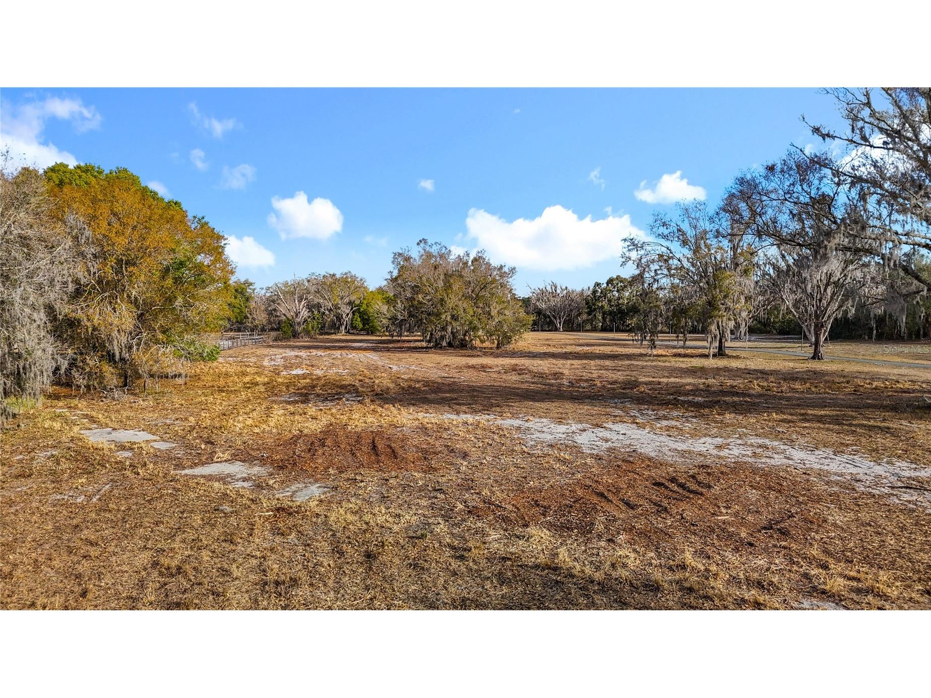 8804 Misty Morning Trail Odessa FL 33556 TB8478012 image26