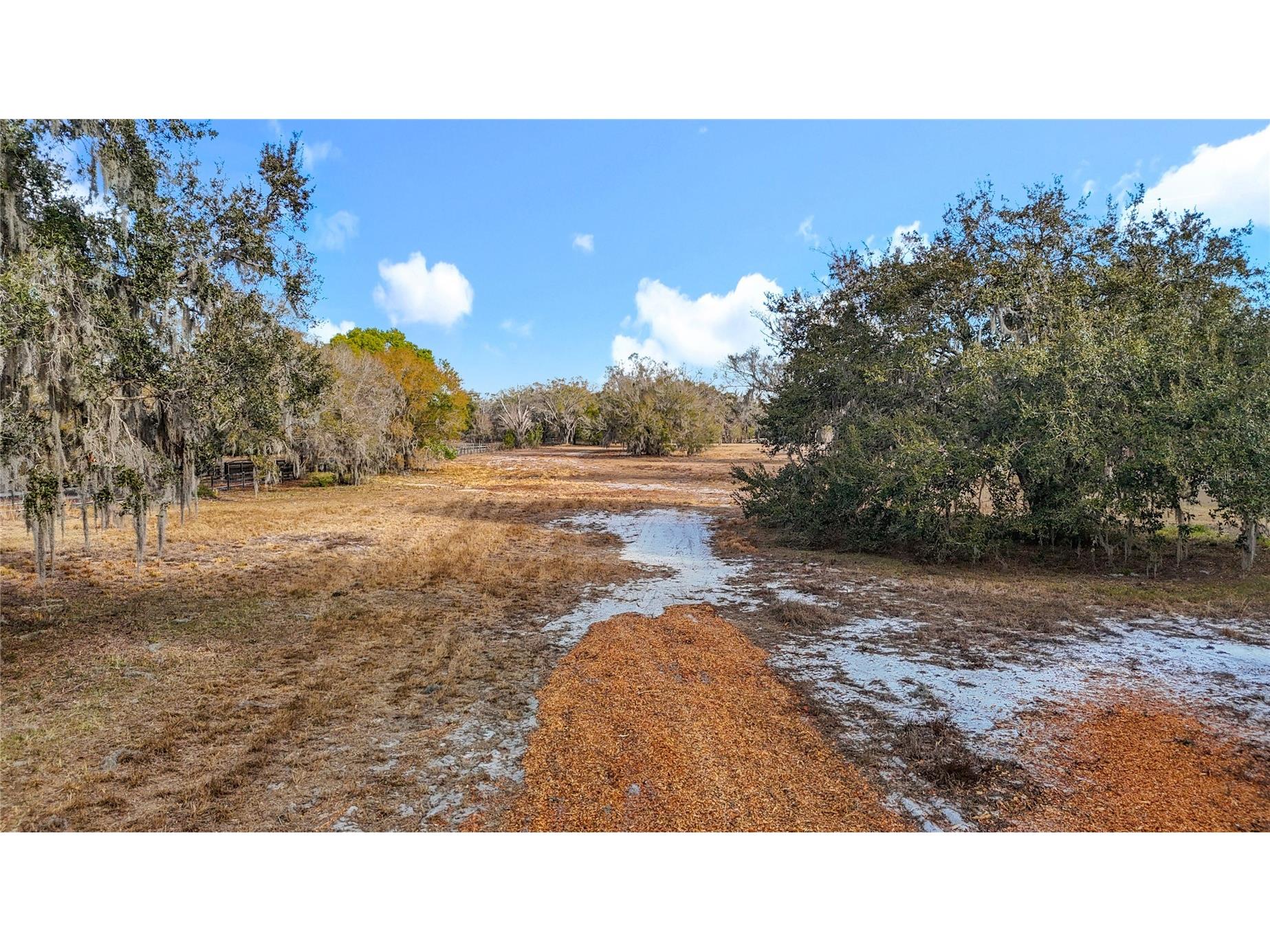 8804 Misty Morning Trail Odessa FL 33556 TB8478012 image27