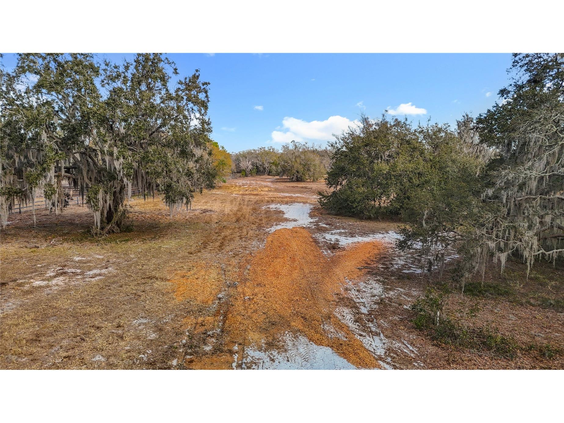 8804 Misty Morning Trail Odessa FL 33556 TB8478012 image30