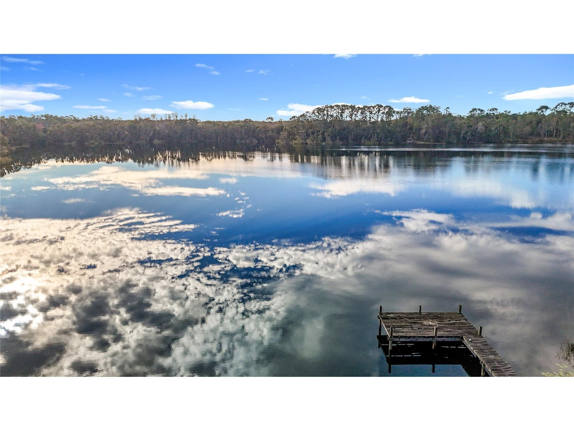 8804 Misty Morning Trail Odessa FL 33556 TB8478012 image31