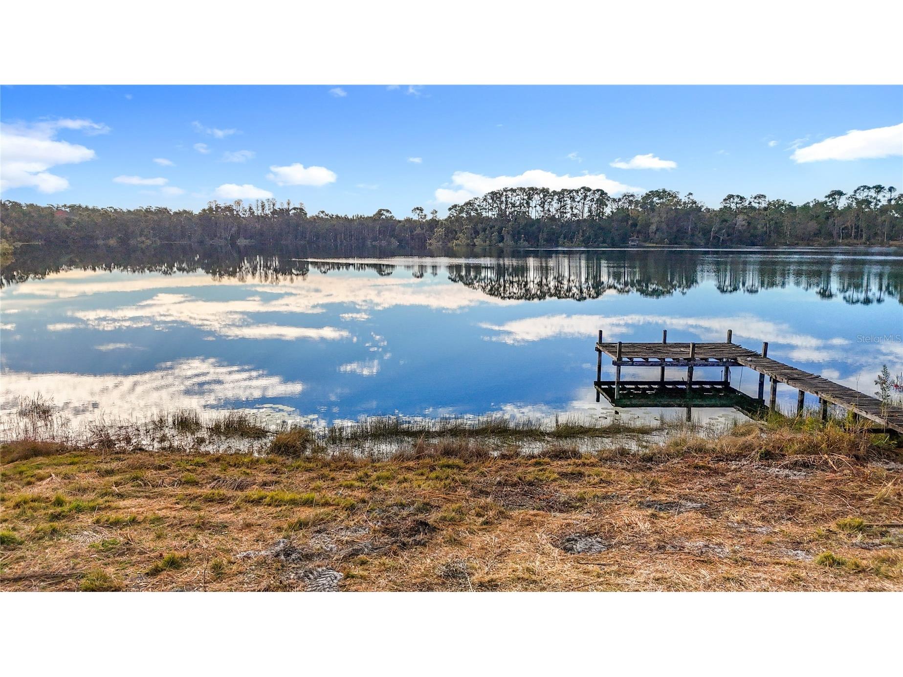 8804 Misty Morning Trail Odessa FL 33556 TB8478012 image35