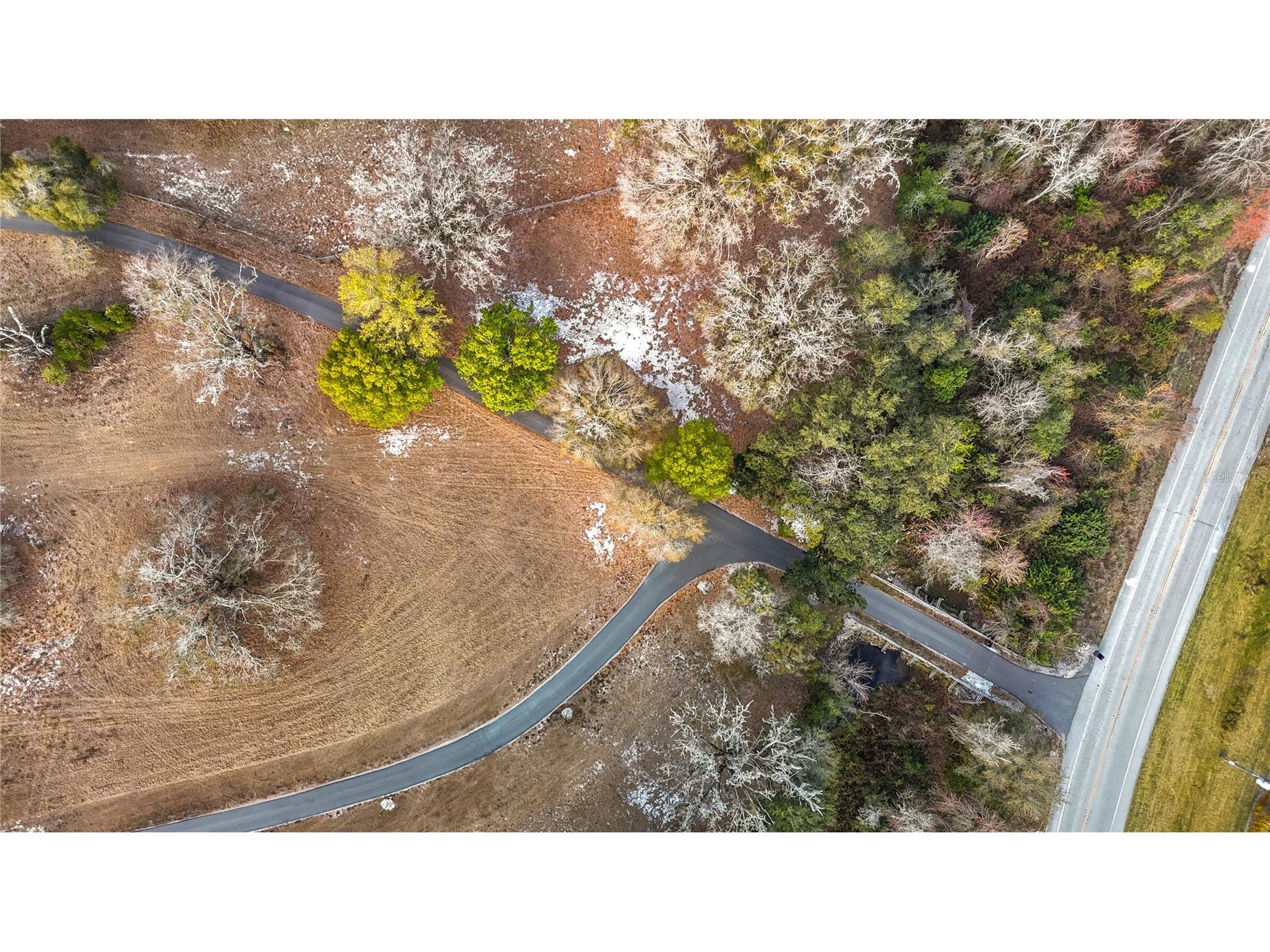 8804 Misty Morning Trail Odessa FL 33556 TB8478012 image42