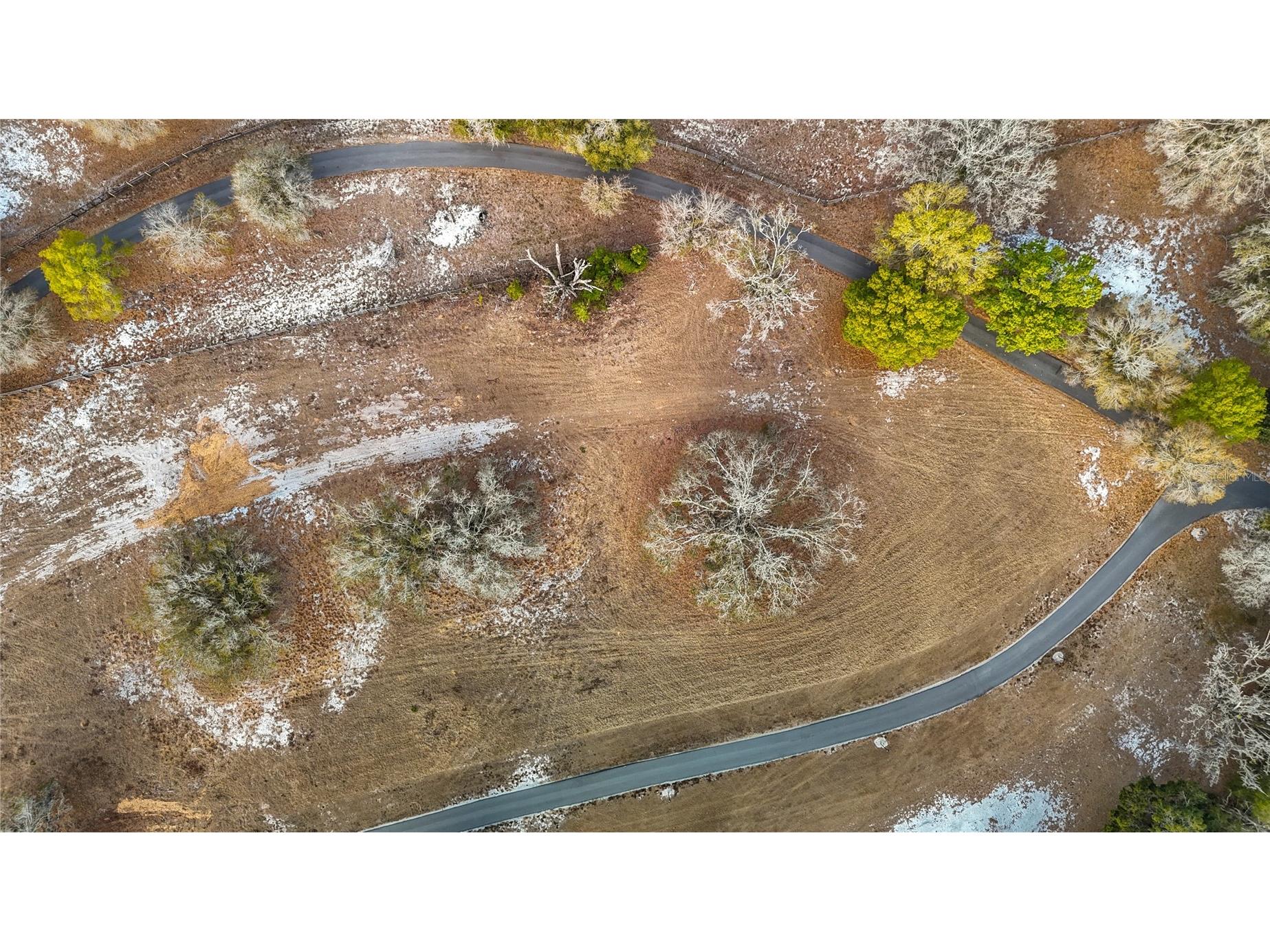 8804 Misty Morning Trail Odessa FL 33556 TB8478012 image44